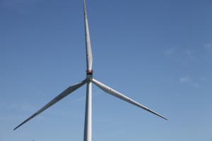 Too close for comfort