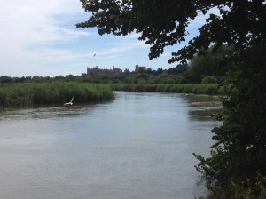 River Arun with Arundel Castle in the background