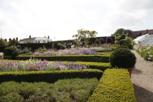 Across the kitchen gardens
