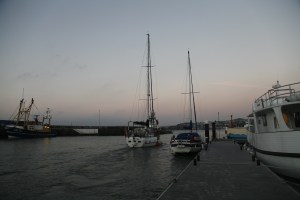 Distant Drum sailing at dawn out of Torquay Harbour