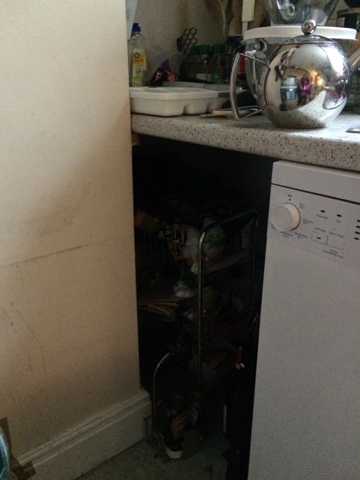 Dead space both sides of the chimney breast, only slightly alleviated by installing a slimline dishwasher instead of the washing machine originally here