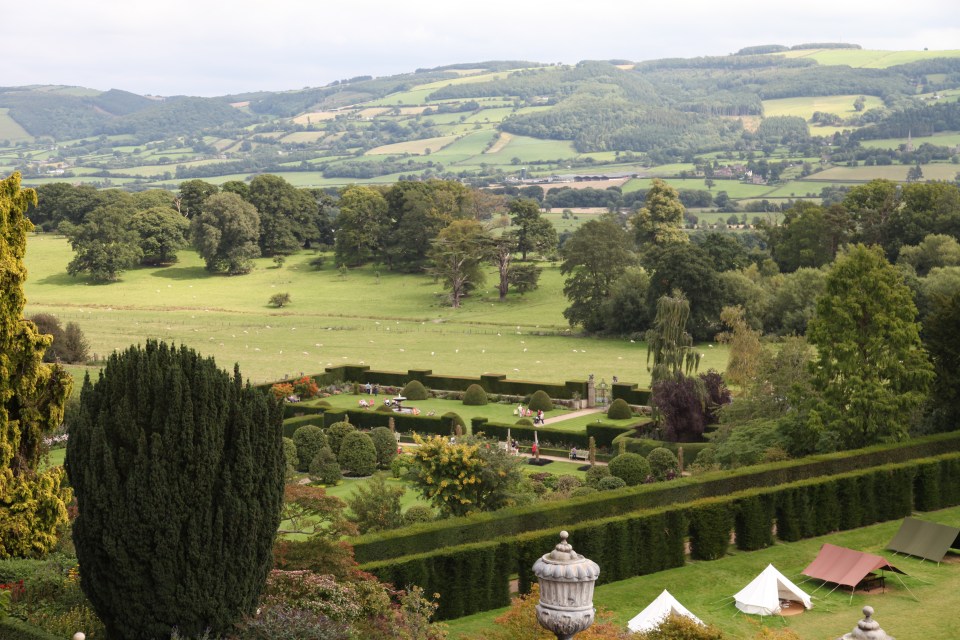 Check out those hedges!